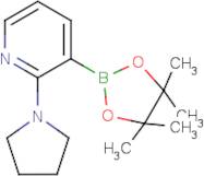 2-Pyrrolidinopyridine-3-boronic acid, pinacol ester