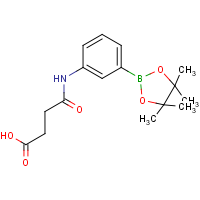 3-Succinamidophenylboronic acid, pinacol ester