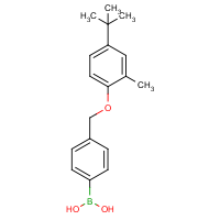 4-[(4-tert-Butyl-2-methylphenoxy)methyl]phenylboronic acid