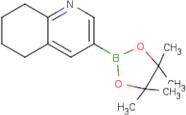 5,6,7,8-Tetrahydroquinoline-3-boronic acid, pinacol ester