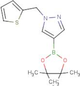 1-(Thiophen-2-ylmethyl)pyrazole-4-boronic acid, pinacol ester