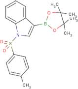 1-(Toluene-4-sulfonyl)-1H-indole-3-boronic acid, pinacol ester