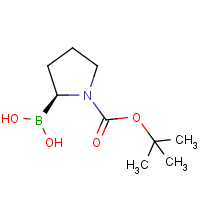 N-Boc-Pyrrolidin-2-(S)-ylboronic acid