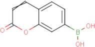 (2-Oxochromen-7-yl)boronic acid