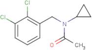 N-Cyclopropyl-N-(2,3-dichlorobenzyl)acetamide