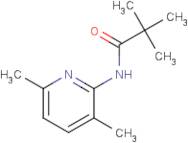 N-(3,6-Dimethylpyridin-2-yl)pivalamide