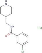 3-Chloro-N-(4-piperidinylmethyl)benzamide hydrochloride