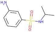 3-Amino-N-isopropylbenzenesulphonamide