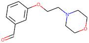 3-[2-(Morpholin-4-yl)ethoxy]benzaldehyde