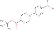 6-[4-(tert-Butoxycarbonyl)piperazin-1-yl]nicotinic acid