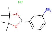 3-Aminobenzeneboronic acid, pinacol ester hydrochloride