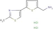[5-(2-Methyl-1,3-thiazol-4-yl)thien-2-yl]methylamine dihydrochloride