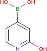 2-Hydroxypyridine-4-boronic acid