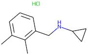 N-(2,3-Dimethylbenzyl)cyclopropylamine hydrochloride