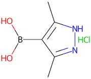 3,5-Dimethyl-1H-pyrazole-4-boronic acid hydrochloride