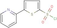 5-(Pyridin-2-yl)thiophene-2-sulphonyl chloride