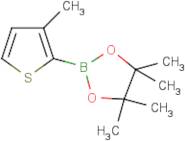 3-Methylthiophene-2-boronic acid, pinacol ester