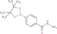 4-(Hydrazinocarbonyl)benzeneboronic acid, pinacol ester