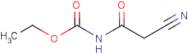 Ethyl N-(2-cyanoacetyl)carbamate
