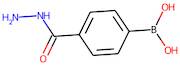 4-(Hydrazinocarbonyl)benzeneboronic acid