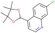 7-Chloroquinoline-4-boronic acid, pinacol ester