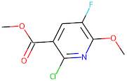 Methyl 2-chloro-5-fluoro-6-methoxynicotinate