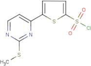 5-[2-(Methylsulphanyl)pyrimidin-4-yl]thiophene-2-sulphonyl chloride
