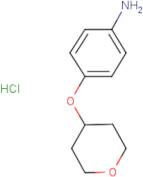 4-[(Tetrahydro-2H-pyran-4-yl)oxy]aniline hydrochloride