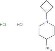 1-Cyclobutyl-4-piperidinamine dihydrochloride