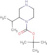1-Boc-2-(1-methylethyl)-piperazine