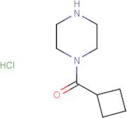 1-(Cyclobutylcarbonyl)piperazine hydrochloride