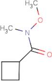 N-Methoxy-N-methyl-cyclobutanecarboxamide