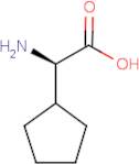 (R)-2-Cyclopentylglycine