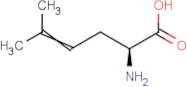 (S)-2-Amino-5-methylhex-4-enoic acid