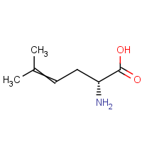 (R)-2-Amino-5-methylhex-4-enoic acid