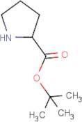 tert-Butyl pyrrolidine-2-carboxylate