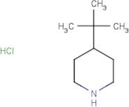 4-tert-Butylpiperidine hydrochloride