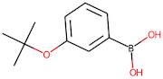 3-(tert-Butoxy)benzeneboronic acid