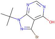 3-Bromo-1-tert-butyl-pyrazolo[3,4-d]pyrimidin-4-ol