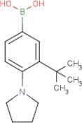 (3-tert-Butyl-4-pyrrolidin-1-ylphenyl)boronic acid
