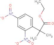 Ethyl 2-(2,4-Dinitrophenyl)-2-methylpropanoate