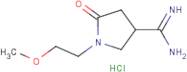 1-(2-Methoxyethyl)-2-oxopyrrolidine-4-carboxamidine hydrochloride