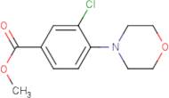 Methyl 3-Chloro-4-morpholinobenzoate