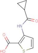 3-[(Cyclopropylcarbonyl)amino]-2-thiophenecarboxylic acid