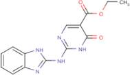 Ethyl 2-(2-Benzimidazolylamino)-6-oxo-1,6-dihydropyrimidine-5-carboxylate