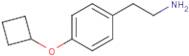 2-(4-Cyclobutoxyphenyl)ethylamine