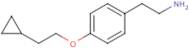 2-[4-(2-Cyclopropylethoxy)phenyl]ethylamine