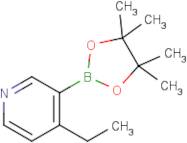 4-Ethylpyridine-3-boronic acid Pinacol Ester