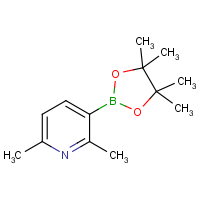 2,6-Dimethylpyridine-3-boronic acid Pinacol Ester