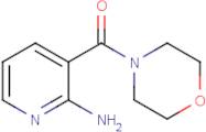 (2-Amino-3-pyridyl)(morpholino)methanone